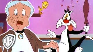 Looney Tunes en Latino | La impostora de la Abuelita | WB Kids