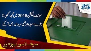 Senate Elections: Process of documents submission continues