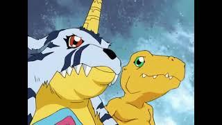 Digimon   1ª Digievolução Wargreymon & Metalgarurumon