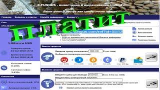 x-fungus.com отзывы / хайп платит? 2 43% за 24 часа