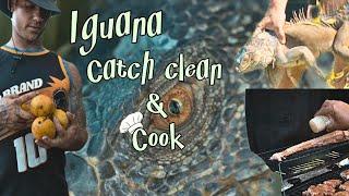 Iguana Catch Clean & Cook | South Florida Invasives