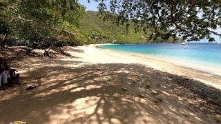 This is one of the beaches in St.Vincent that will change your life #caribbean #stvincent