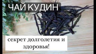 Чай Кудин- секрет долголетия и здоровья!