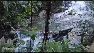 pejalanan menuju curug balong endah