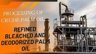 Processing of Crude Palm Oil into Refined Bleached and Deodorized Palm Oil