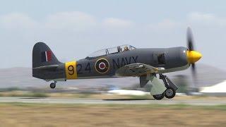 Dennis Sanders Sea Fury aerobatics