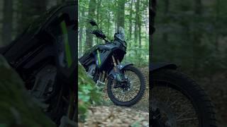 CF Moto 450MT - Forest ride #cfmoto #cfmoto450mt #bikeride #forestride #adventure #trip