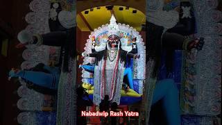 Nabadwip Rash Yatra 2024 #mahakali #kalimaa #rashyatra2024 #festival #makali #rashpurnima #shorts