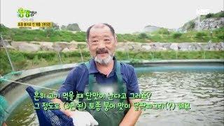 2tv 저녁 생생정보 - 토종 붕어로 연 매출 1억 5천.20170824