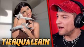 Influencerin misshandelt Katzen und macht Business draus | Rezo reagiert