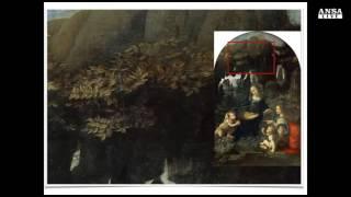 Leonardo da Vinci e il cane nascosto nella Vergine delle Rocce