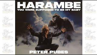 Harambe (You Were Supposed To Be My Baby) - Rare Lost 80s Hit Song