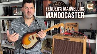 Fender's Marvelous Mandocaster -  The Vintage Fender Electric Mandolin - Ask Zac 205