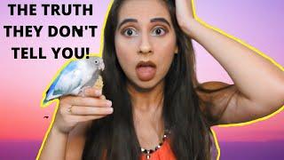 7 Things They DON'T Tell You About Owning a Bird!! | What it is like Owning a Parrot