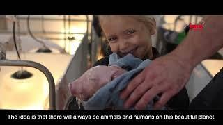IMV Technologies Farm Animal Corporate video