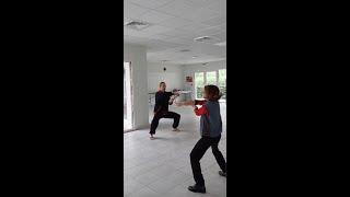 Yang Sheng Taiji Bang 2 - Moments de pratique ️ L'Île du Taiji Quan