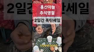 홍산마늘 010 6403 8069 폭탄세일