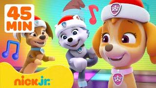 PAW Patrol Skye's Holiday Music Party! #5  45 Minutes | Nick Jr. Music