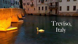 The City of Treviso, Italy