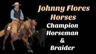 Johnny Flores Horses - Champion Horseman & Braider