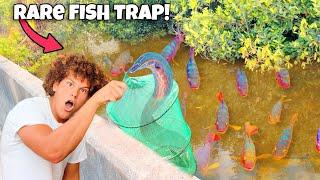 Trapping RARE Aquarium FISH In The EVERGLADES!