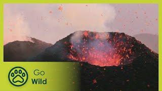 Volcanic Waters - Wild Italy: Living with Volcanoes 1/3 - Go Wild