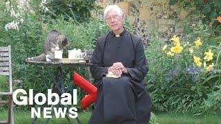 Cat steals some milk during Dean of Canterbury Cathedral's morning sermon