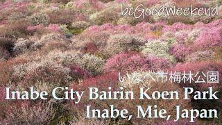 [Little Scenery] Inabe City Bairin Koen Park / Inabe, Mie, Japan