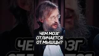 Мозги VS Мышцы! Дробышевский #интересно