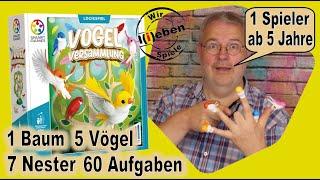 Vogel Versammlung - ein Familien-Logikspiel