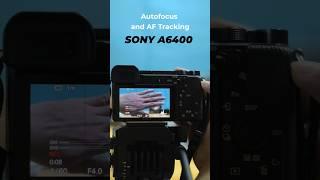 Sony A6400 Fast Autofocus and AF Tracking Test #autofocus #sonya6400 #fyp