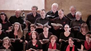 Albrecht Haaf mit dem Kammerchor Müllheim  - Blauer Schmetterling