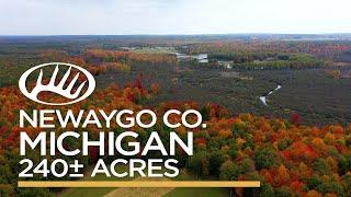 Newaygo County, MI 240± acres