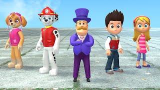 Top 10  Paw Patrol Solves the Bank Heist Masterminded by the Mayor, Chase vs Skye! Papup Cartoon