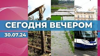 Масштабы бедствия | Что с урожаем? | Трамвайчик тронулся