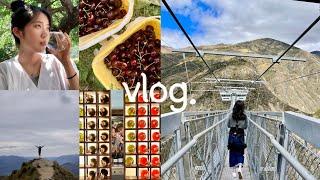 vlog. #2 뉴질랜드 퀸즈타운 2박 3일 동안의 여행기록  (Roys Peak, Gibbston Valley, PYO Cherries, Nevis Swing & ..)