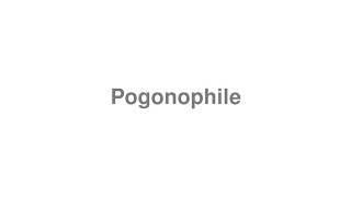 How to Pronounce "Pogonophile"