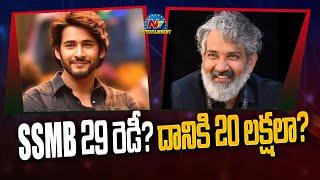 Mahesh Babu's #SSMB29 Shooting Update..! | SS Rajamouli | NTV ENT