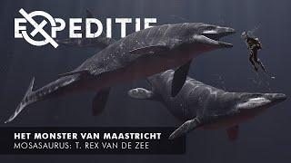 Het Monster Van Maastricht - Mosasaurus: De T. Rex Van De Zee