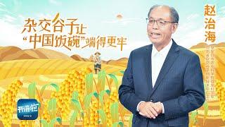 《开讲啦》“杂交水稻之父”袁隆平的禾下乘凉梦有续集了！“杂交谷子之父”赵治海接棒守护中国人的饭碗！| 开讲啦 The Voice