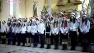 Serbarea Săveni 2011 filmul1