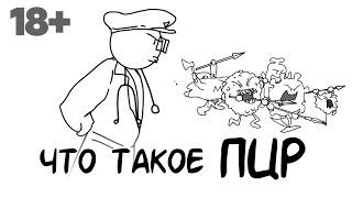 Что такое ПЦР?