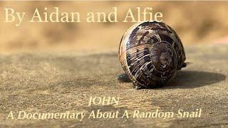 JOHN: A Documentary About A Random Snail.