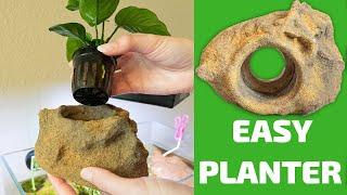 Easy Planter – The EASY Way to Stop Plants from Uprooting