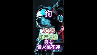 [肖狗]運程 | 高維冥想 | 2025蛇年生肖運程：財富、感情、事業與健康[重點指南]！[三大關鍵月份提醒]！把握好運！智慧避兇，#財運 #感情運 #事業運 #健康運 #生肖運程 #運勢分析