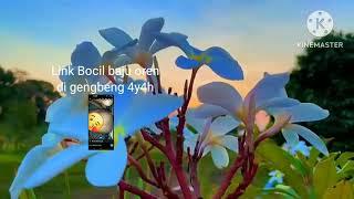 Sinematik Video / Link m3d1afire bocil dan 4yah