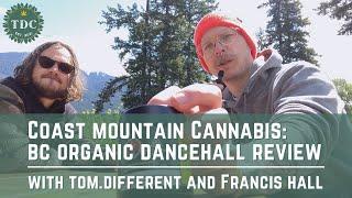 Tom.different: Review - BC Organic Dancehall by Coast Mountain Cannabis 