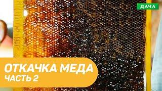 Откачка меда с помощью медогонки. Подводим Итоги сезона. Часть 2.