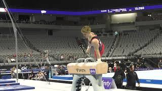 Shane Wiskus -  Pommel Horse  - 2024 Xfinity U.S. Championships -  Senior Men Day 1