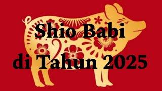 Shio Babi di tahun 2025